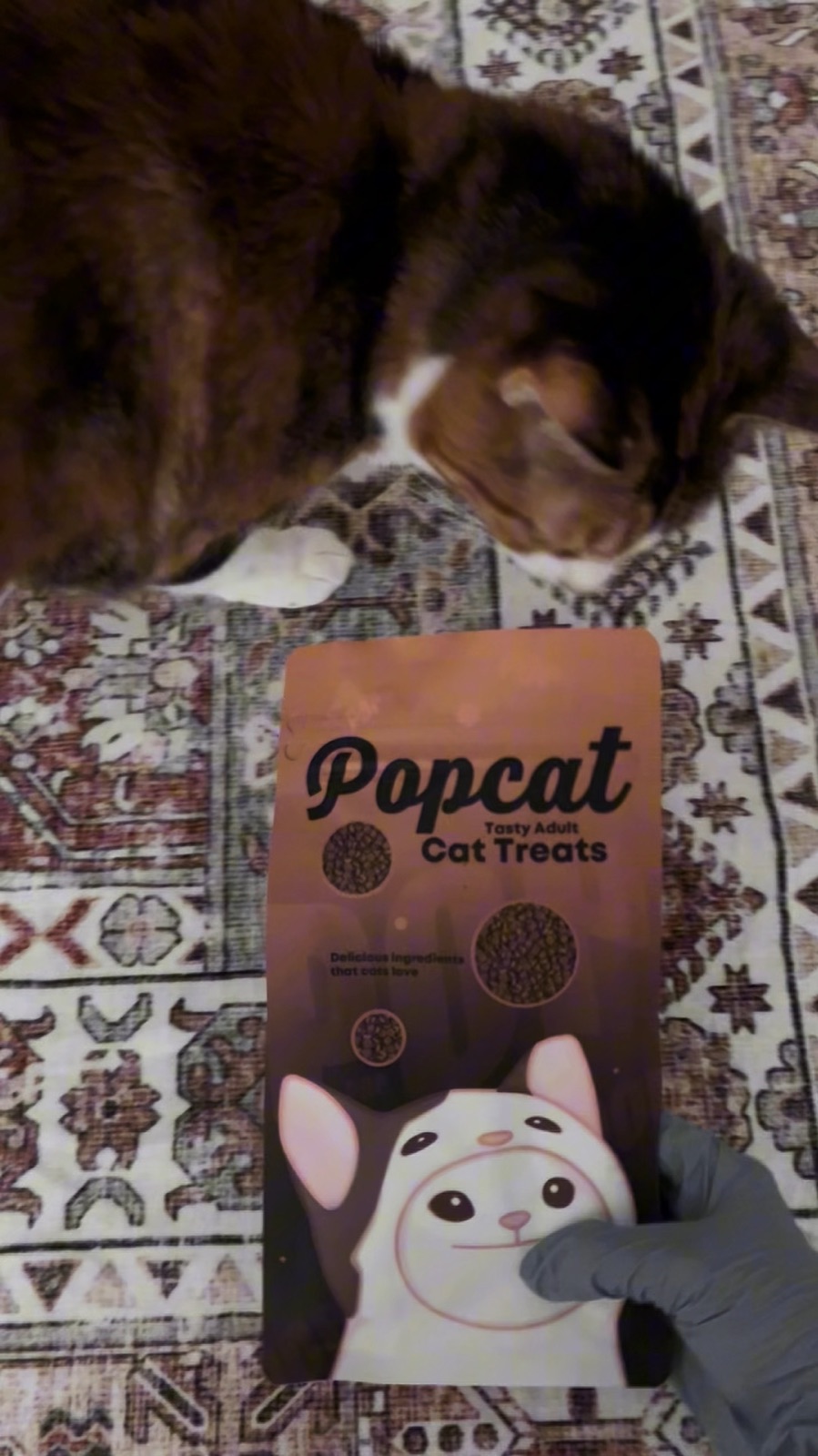 A cat sniffing a printed Popcat bag on a patterned rug.