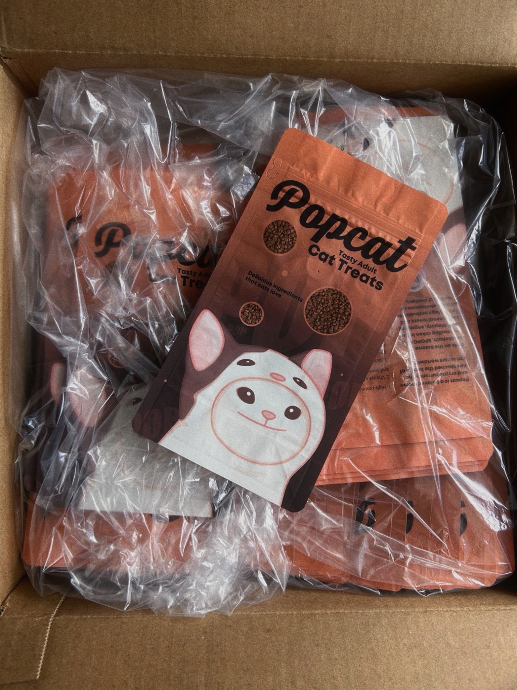 A box of printed Popcat Tasty Adult Cat Treats bags, the cat in its hood peeking up from the one on top.