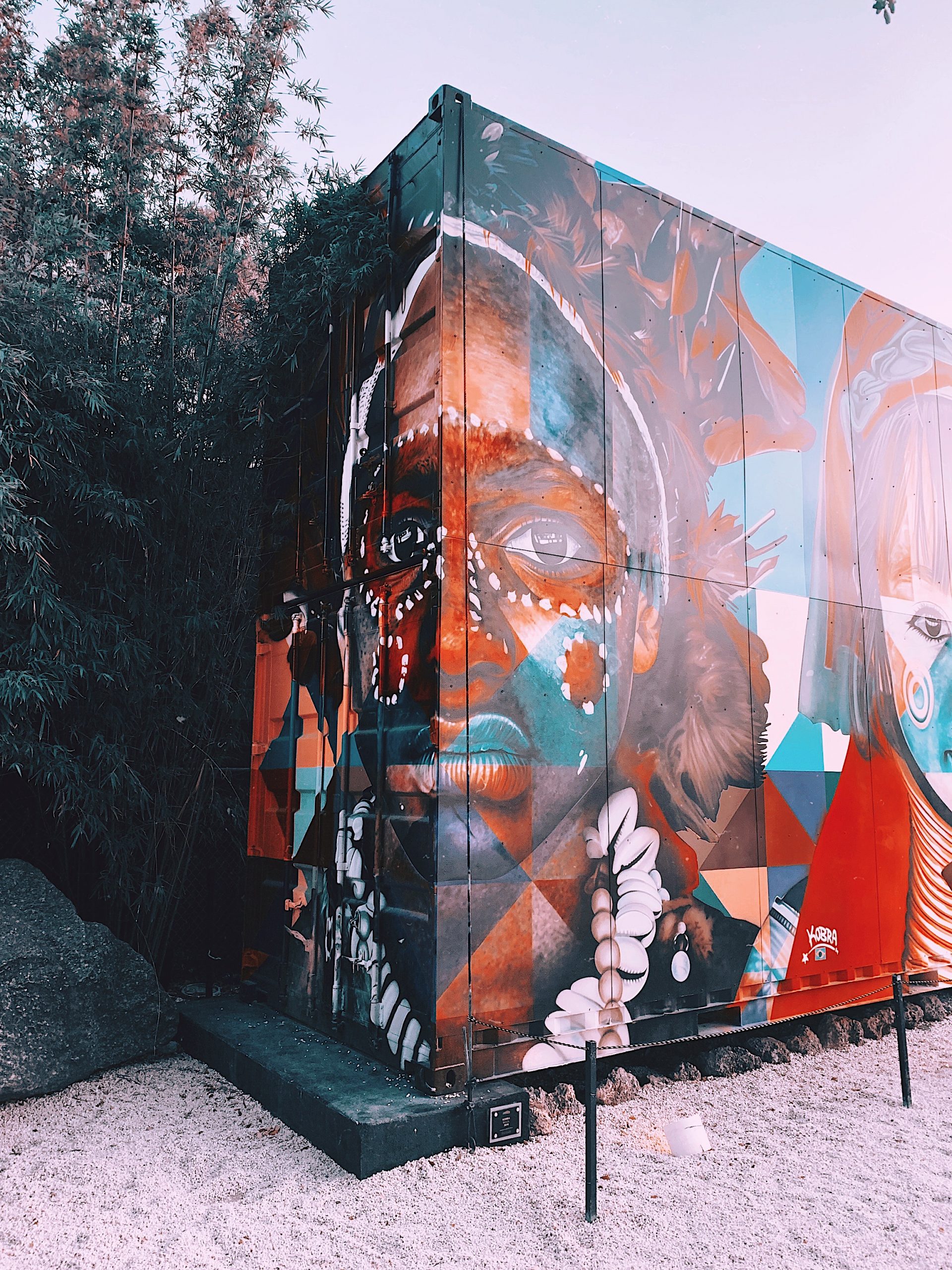 Street Art on Abandoned Shipping Containers at Wynwood Walls
